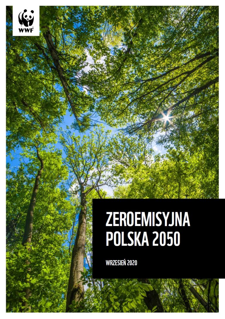 Najnowszy raport WWF „Zeroemisyjna Polska 2050”